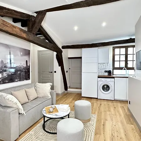 Stunning 2 Bedroom In The Marais Paris