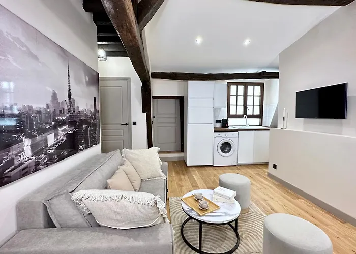 Stunning 2 Bedroom In The Marais