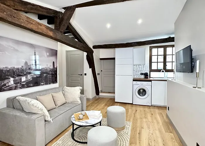 Stunning 2 Bedroom In The Marais Paris